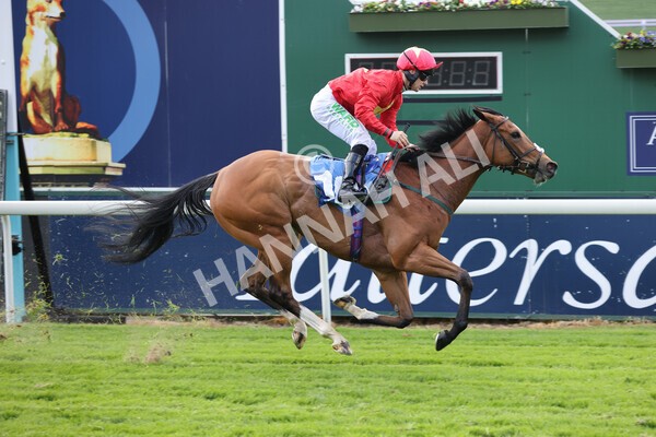 yr11052022r3-22 - Race 3 3.00pm 1895 Duke of York Clipper Logistics Stakes