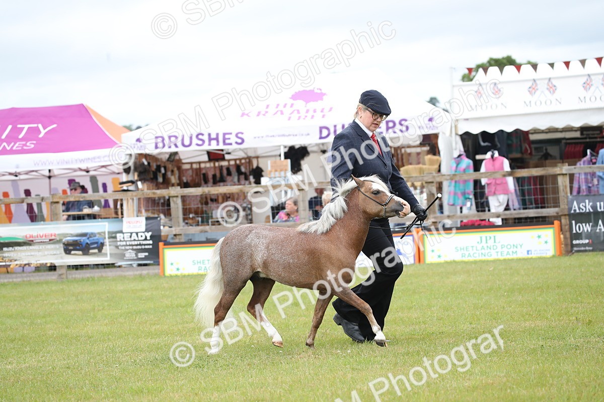 SBM_03749 - Class 23-25 - British Miniature Horse of the Year