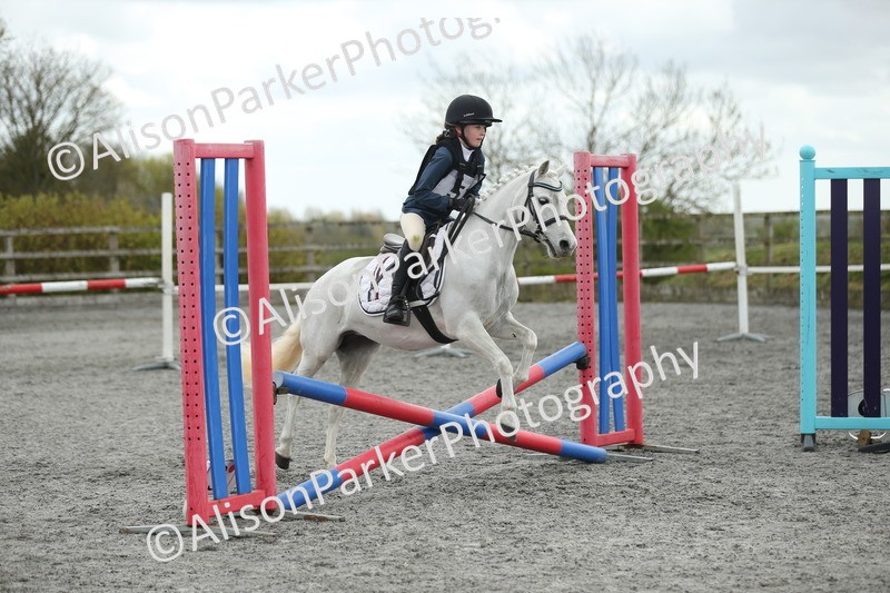 20260412-0689 - Show Jumping