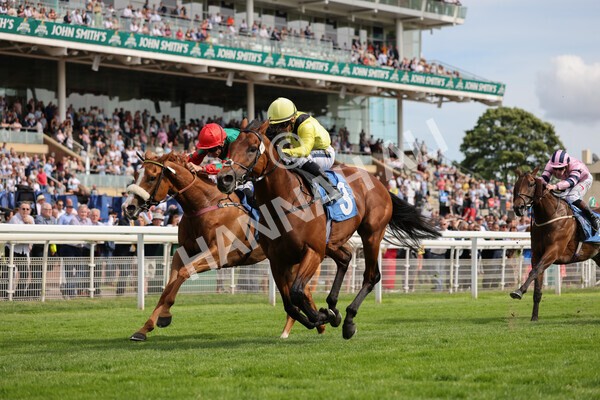 yr08072022r5-13 - Race 5 4.25pm Azets Stakes