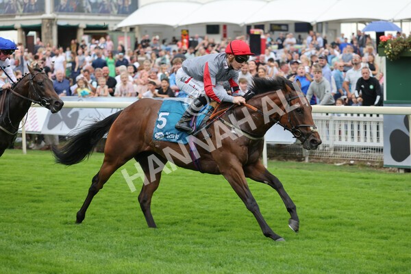 yr04092022r1-29 - Race 1 1.45pm IRE Incentive, It Pays To Buy Irish EBF Novice Stakes
