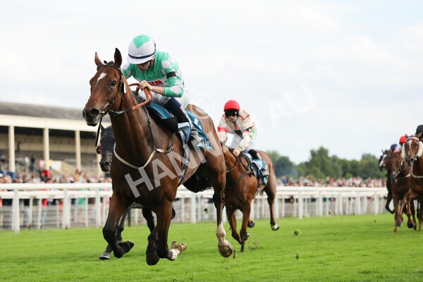 yr04092022r6-36 - Race 6 4.40pm Hanson Springs Stakes