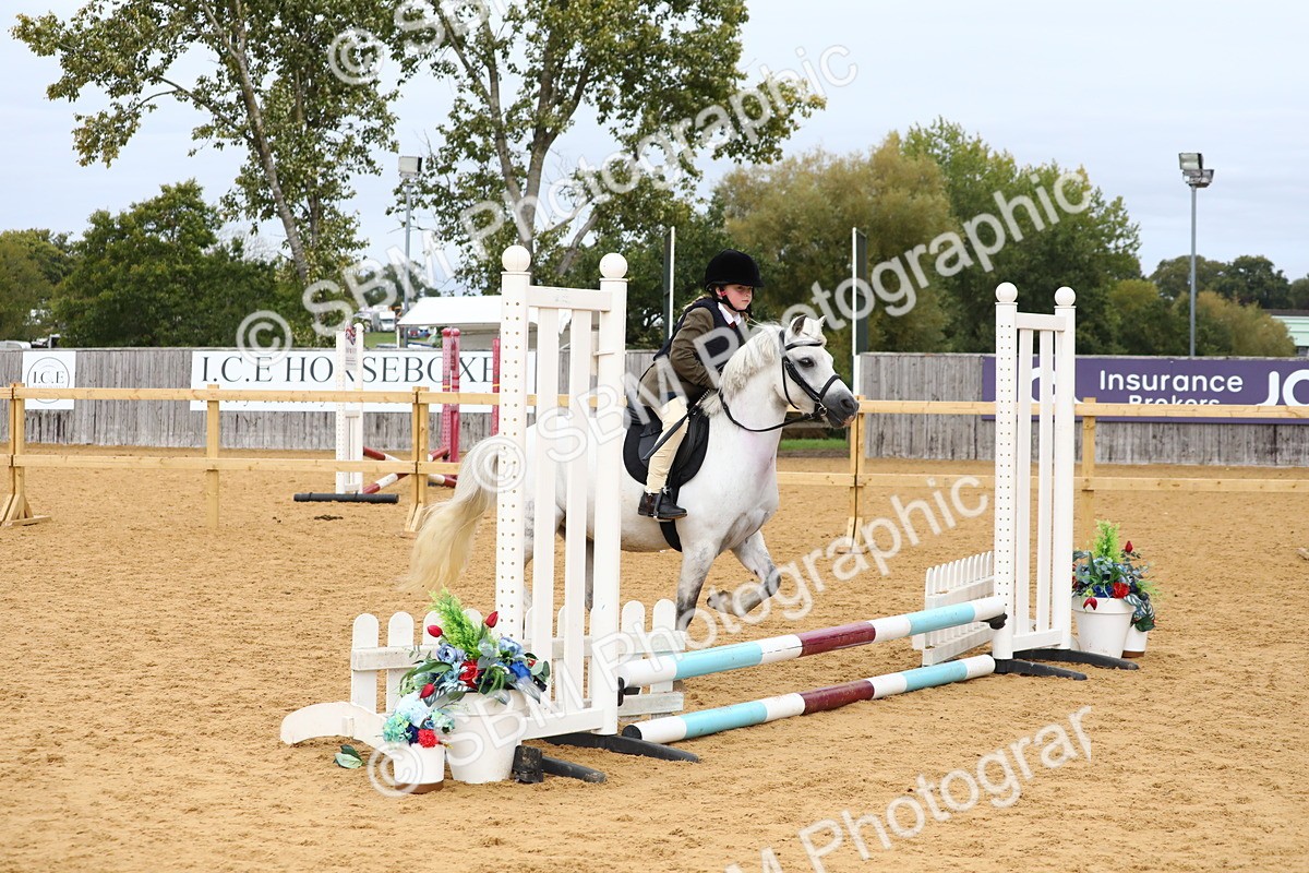 SBM_68125 - J3b - Mini Tour Junior Pony 40cm Championship