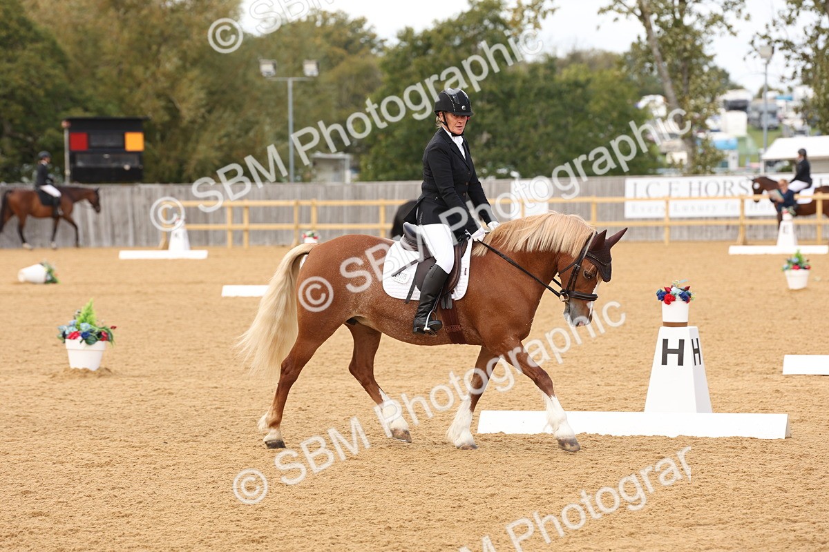 SBM_19513 - D10 - Small Tour Championship Prelim 2