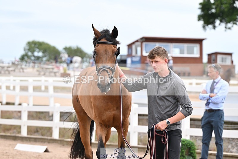 250716-151611-01837 - Trot Up 2.30 to 3.30