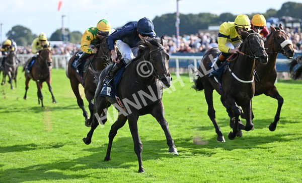 220825-248 Frescobaldi - Race 6 4.45pm British Stallion Studs EBF Convivial Maiden Stakes