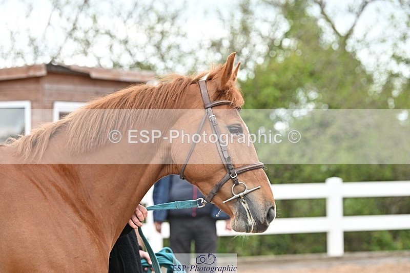 250423-144529-01294 - 2pm to 3pm