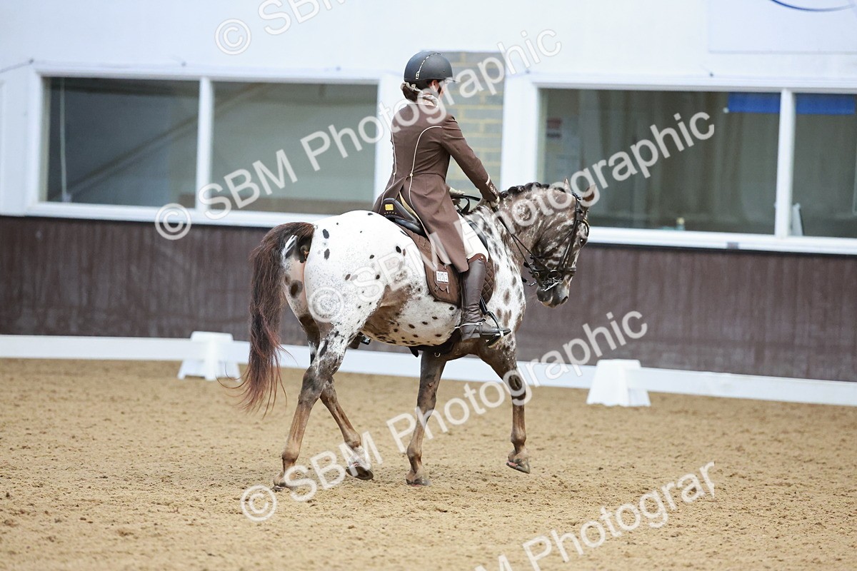 SBM_016561 - Class 5 - FEI INT II - 17.24-18.20