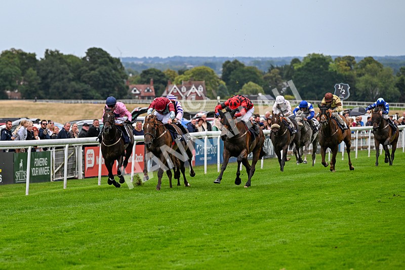 290826-Race 5-Supreme Clarets-7362 - Race 5 4.10pm Churchill Tyres Handicap