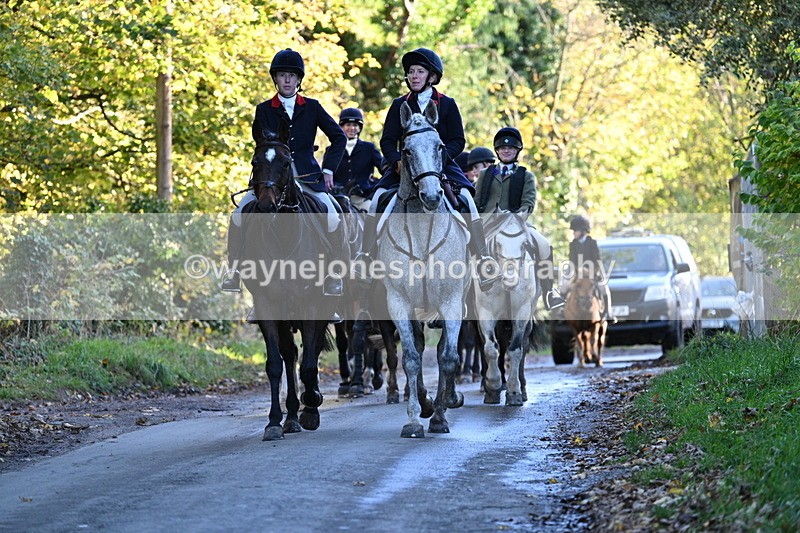 WJ7_8699 - Walk Home