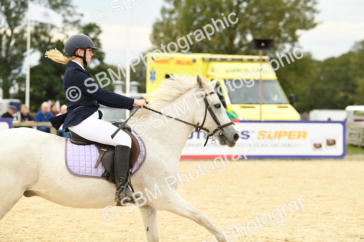 SBM_72982 - J16 - Junior Pony 75cm Championship