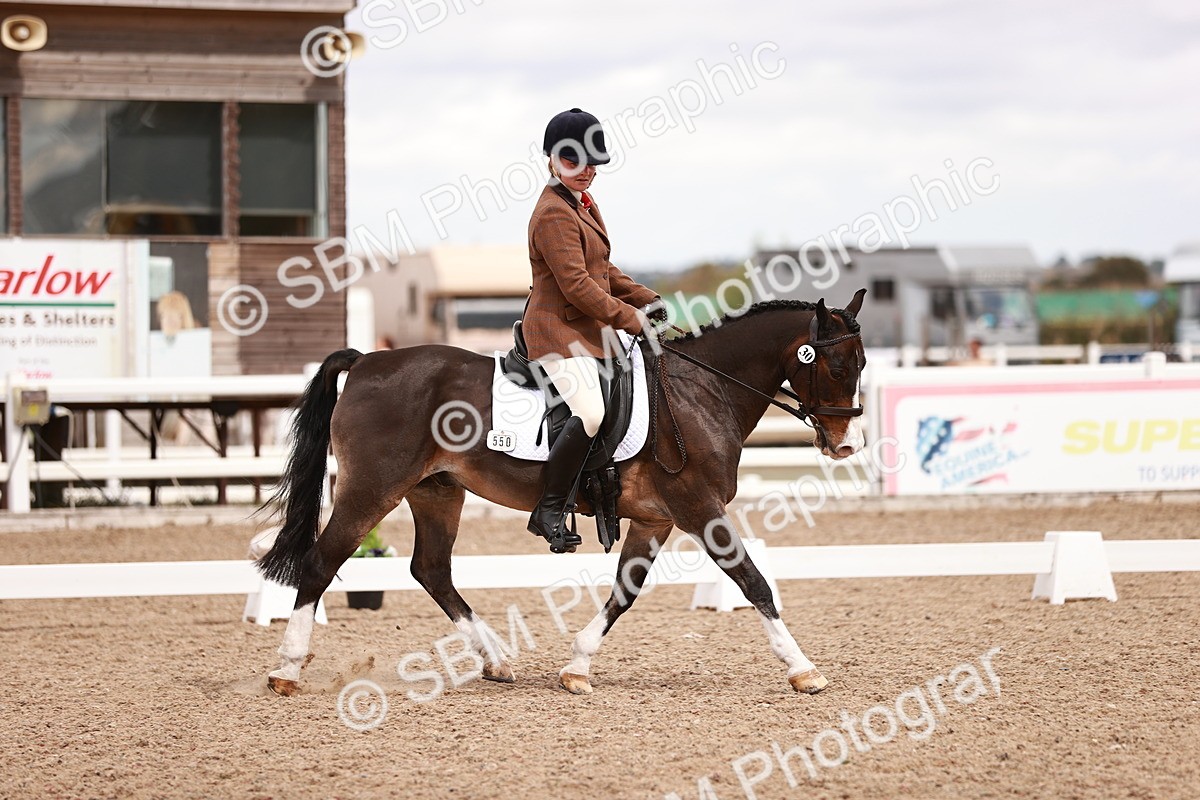 SBM_06242 - Class 37 - Novice 5