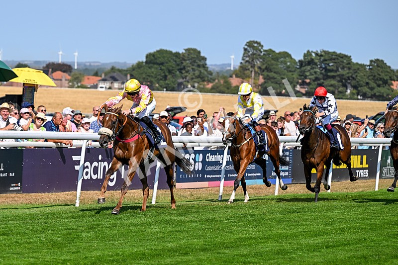 130826-Race 3-State Of Gold-8761 - Race 3 15.15pm Hornsea Ladies At The Races Nursery Handicap