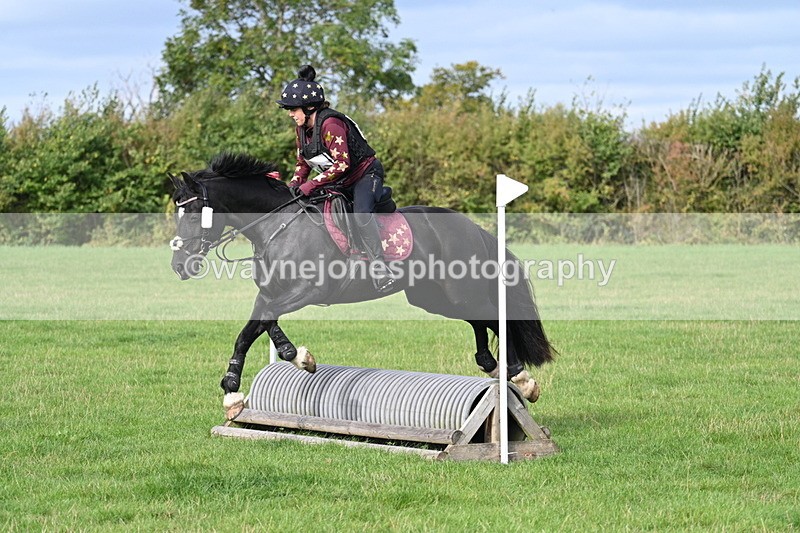 WJ7_8275 - 60cm Pairs