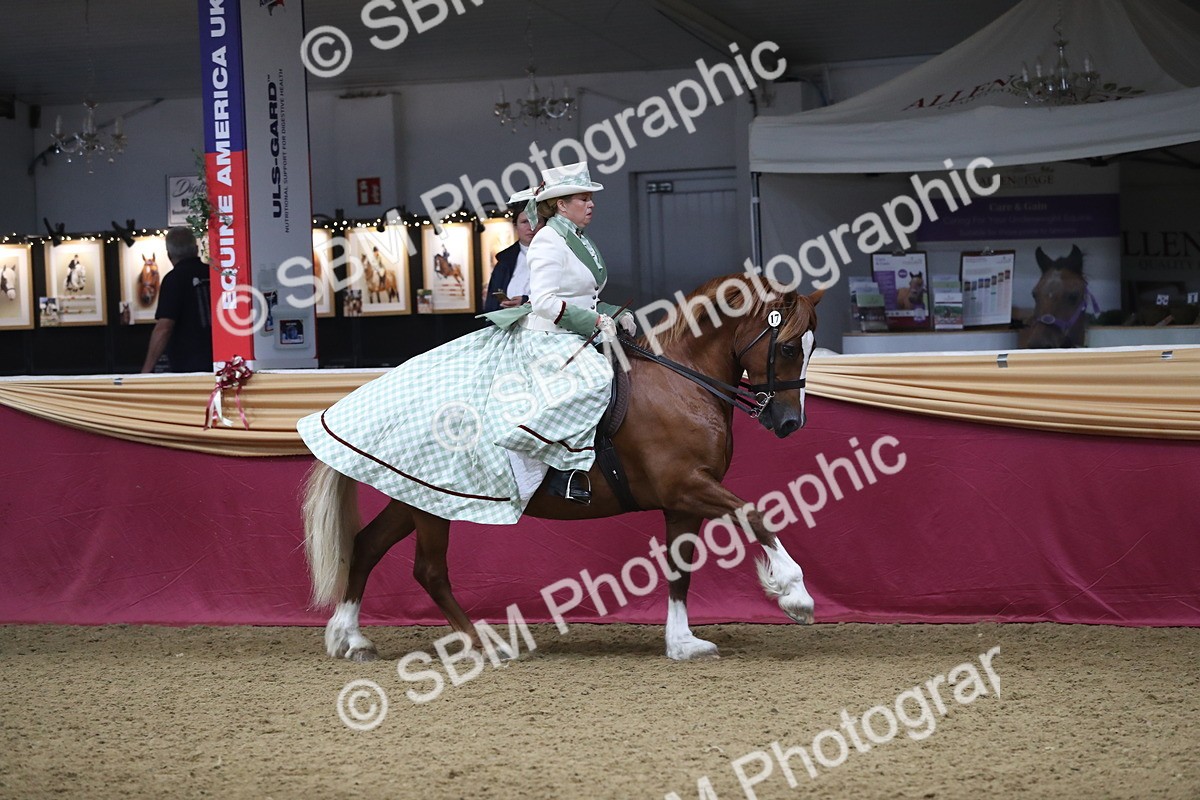 SBM_12003 - Class 106 Ridden Costume- Astride Adult (15-19)