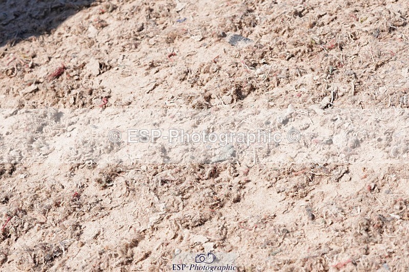 250503-133824-01146 - Cls 27 Stepping Stones