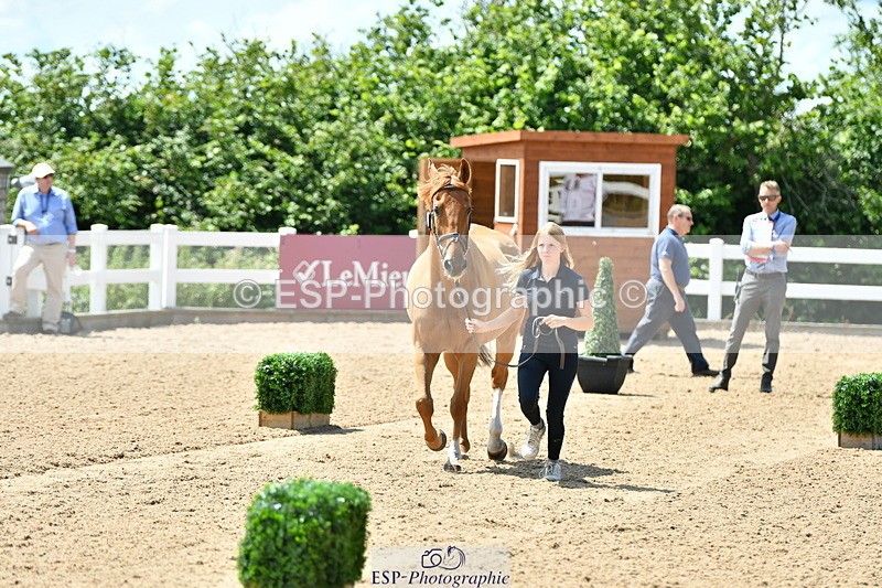 230719A-140340-00524 - Trot Up 2pm to 3pm