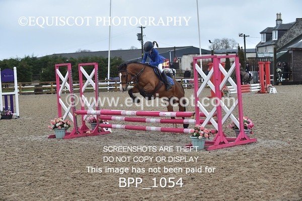 BPP_1054 - CLASS 1 Club/ Unaffiliated 60cms Open