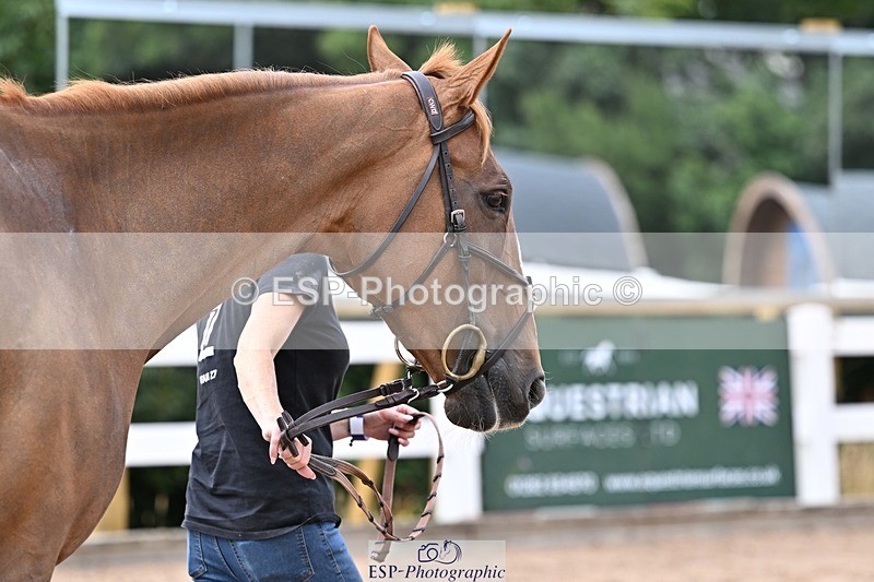 250716-134900-00672 - Trot Up 1.30 to 2.30