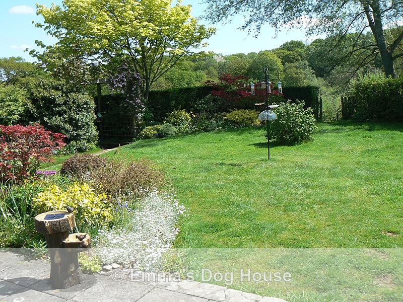  - House and Grounds