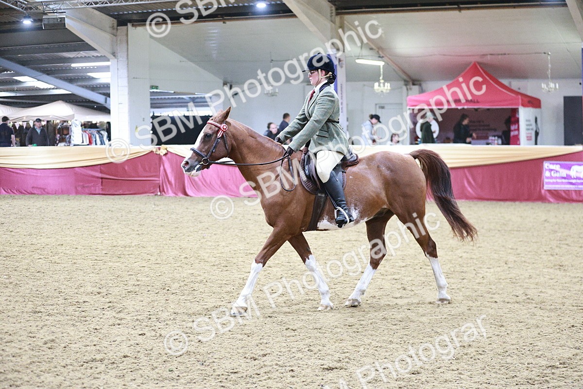 SBM_08143 - Class 11R - Regional Ridden Veteran