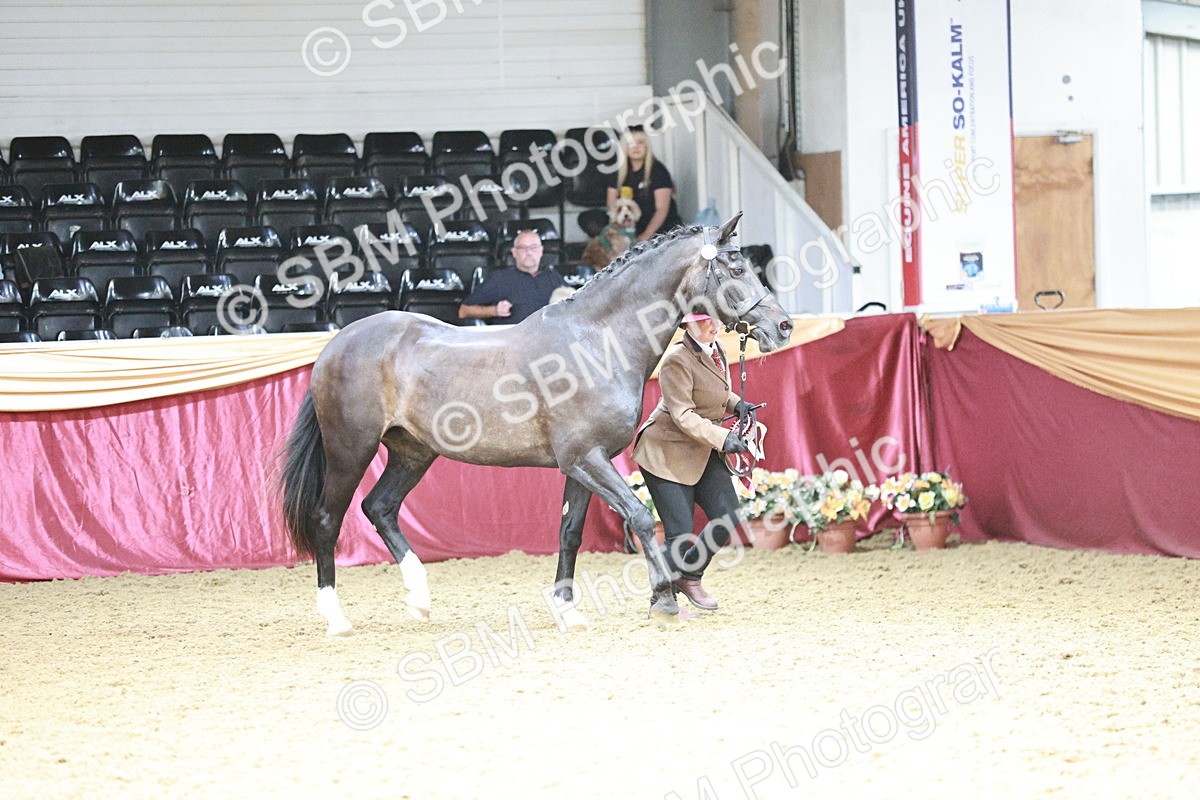 SBM_04908 - Class 7R - Regional IH Diamond