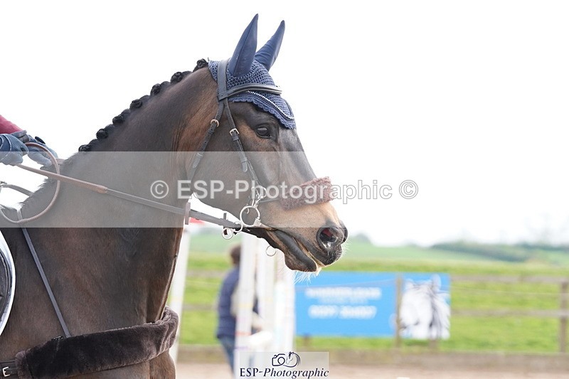 250419-170006-13994 - 872-Ella.Ringham-MINI.FERRARI