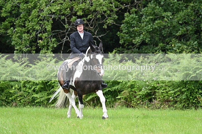 WJ7_2065 - Class 12A Coloured Class