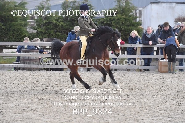 BPP_9324 - RING 2 - M&M