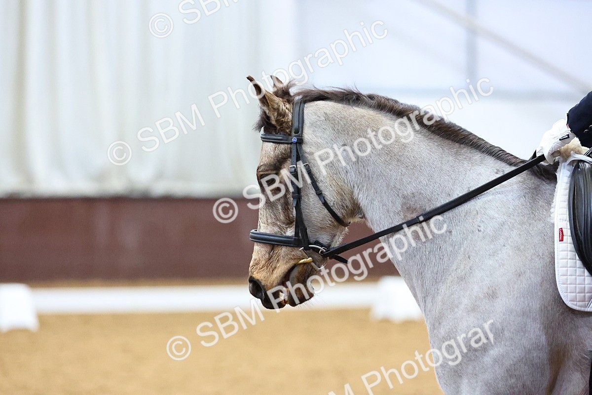 SBM_001914 - Class 14 - N6