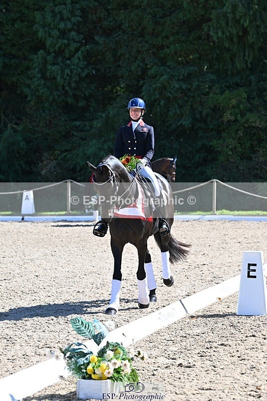 240811-154048-06761 - Inter I Gold