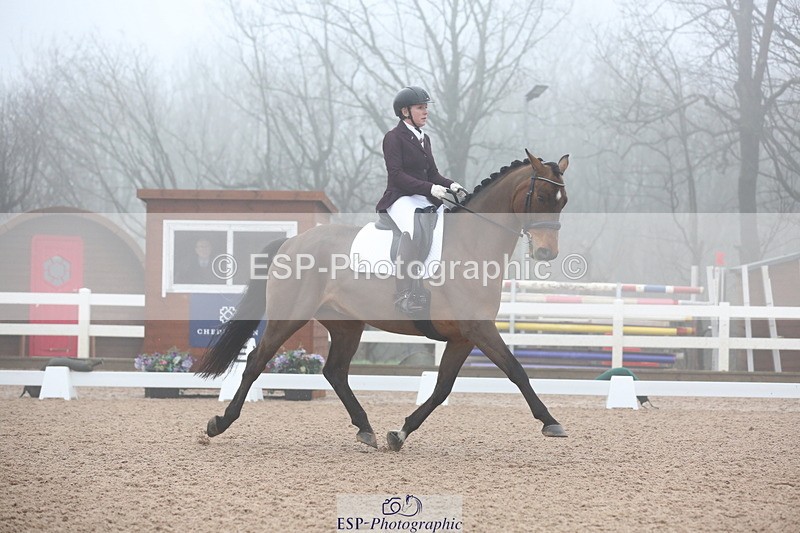 240217A-094134-00800 - 114-kelly.jewell-Juno.Watt