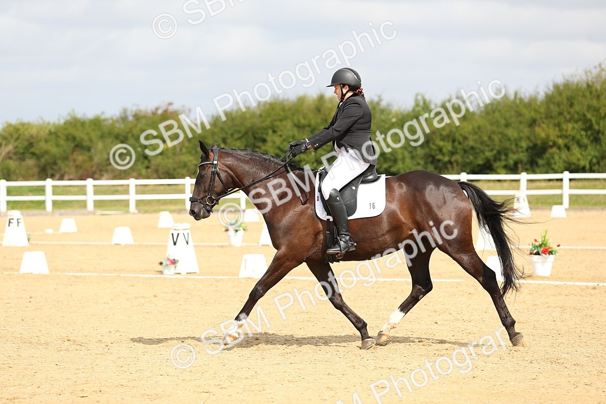 SBM_016279 - Class 13 - Novice 23 - 11.25-12.35