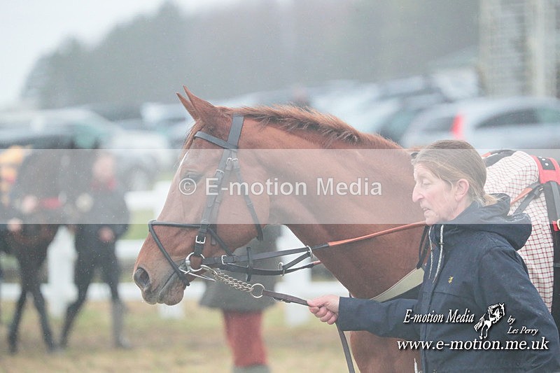 PtP 101223 196 - New Forest Hounds PtP Larkhill 10/12/23