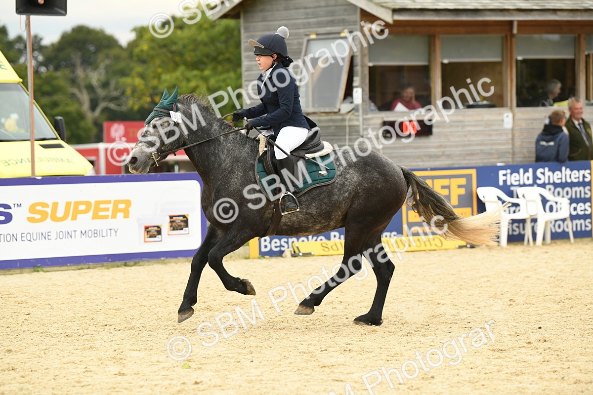 SBM_73060 - J16 - Junior Pony 75cm Championship