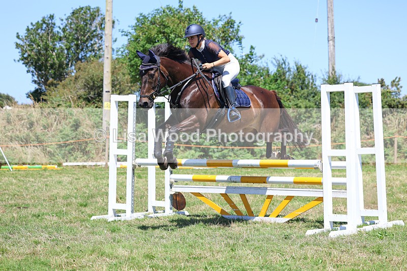 3E7A5689 - Class 9: Senior British Novice/90cm open