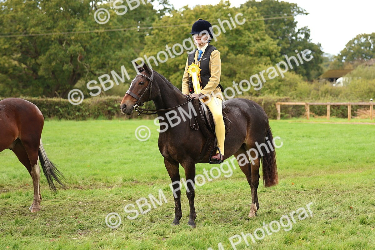 SBM_45140 - S27 - Young Veteran Ridden