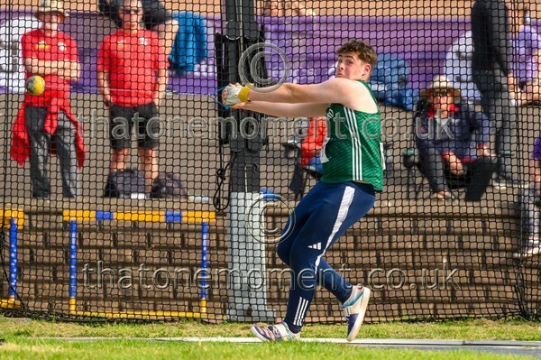 Sen25SUN-920081 - Field Male