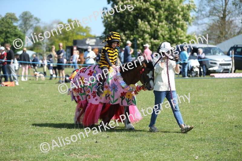 20250427-1770 - Class 5 - Fancy Dress