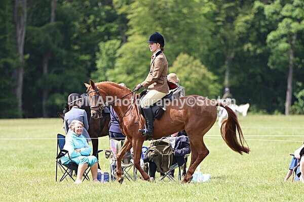 IMG_3315 - Working Hunter