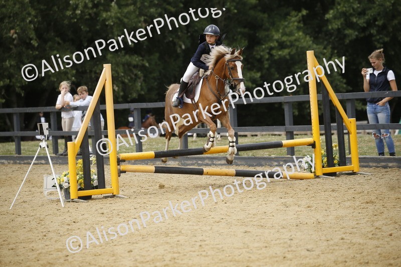 20250622-5925 - 60cm