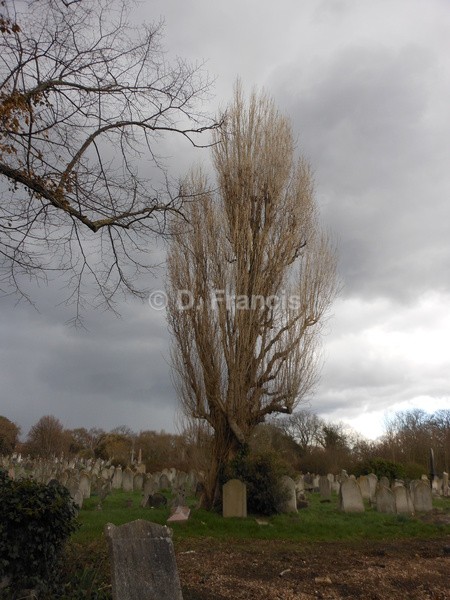 Image 5 - Kensal Green Cemetery