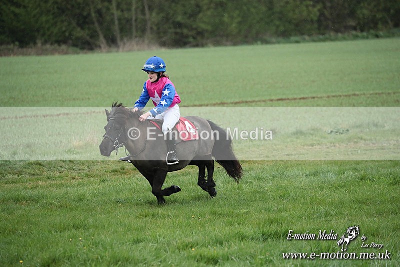 SHETPR 210425 109 - Shetland Ponies Paxford Races 21/04/25