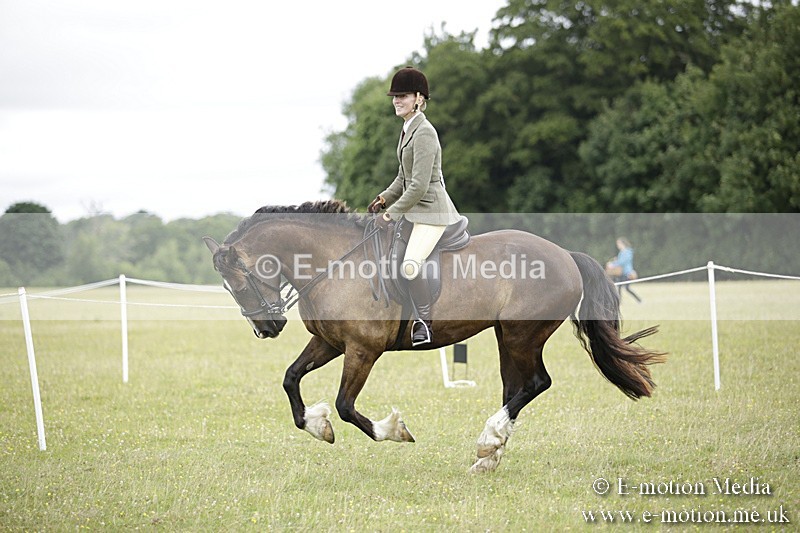 BVR160717-1303 - Ring 1 BVRC Show 16/07/17