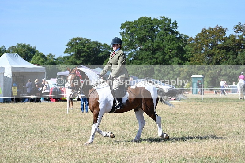 WJ7_3278 - Class 8 Ridden Tack & Turnout