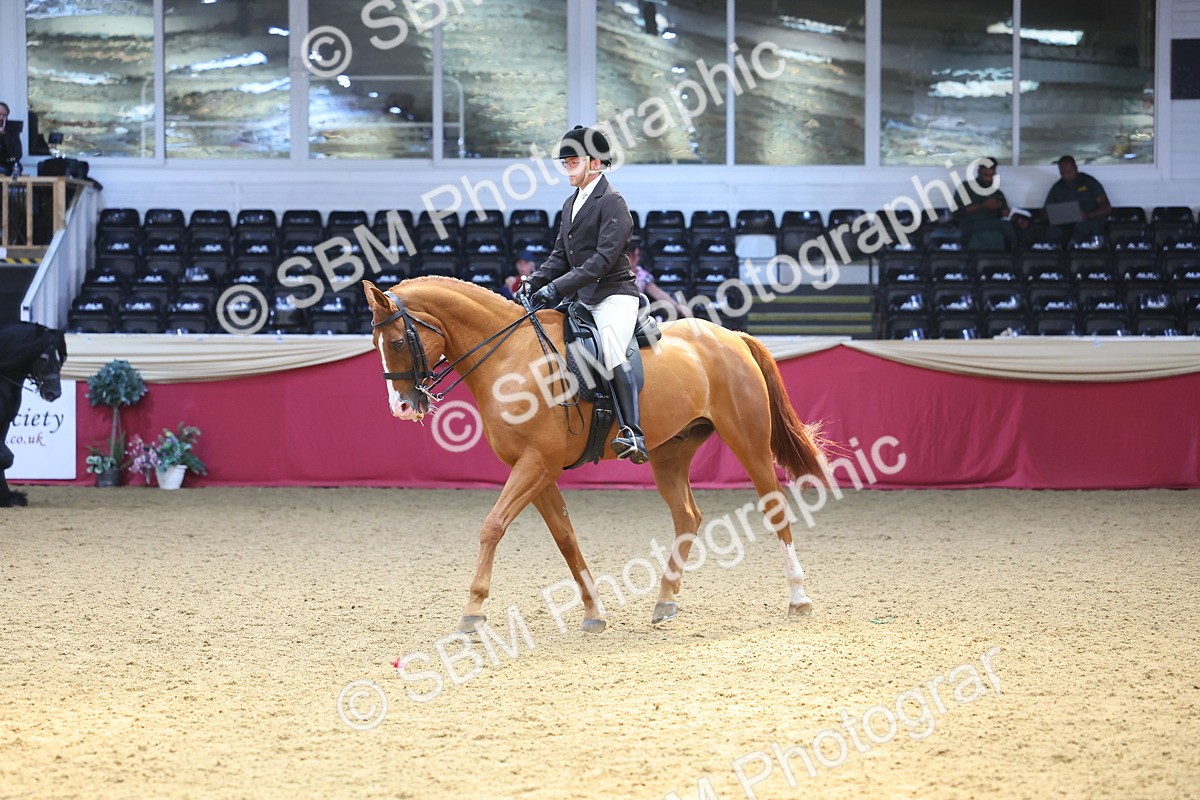 SBM_24090 - Class 905 - Supreme Final - Ridden Veteran