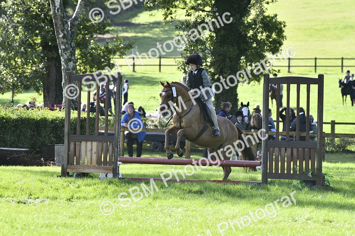 SBM_38174 - S31 - Novice & Newcomer Working Hunter Pony