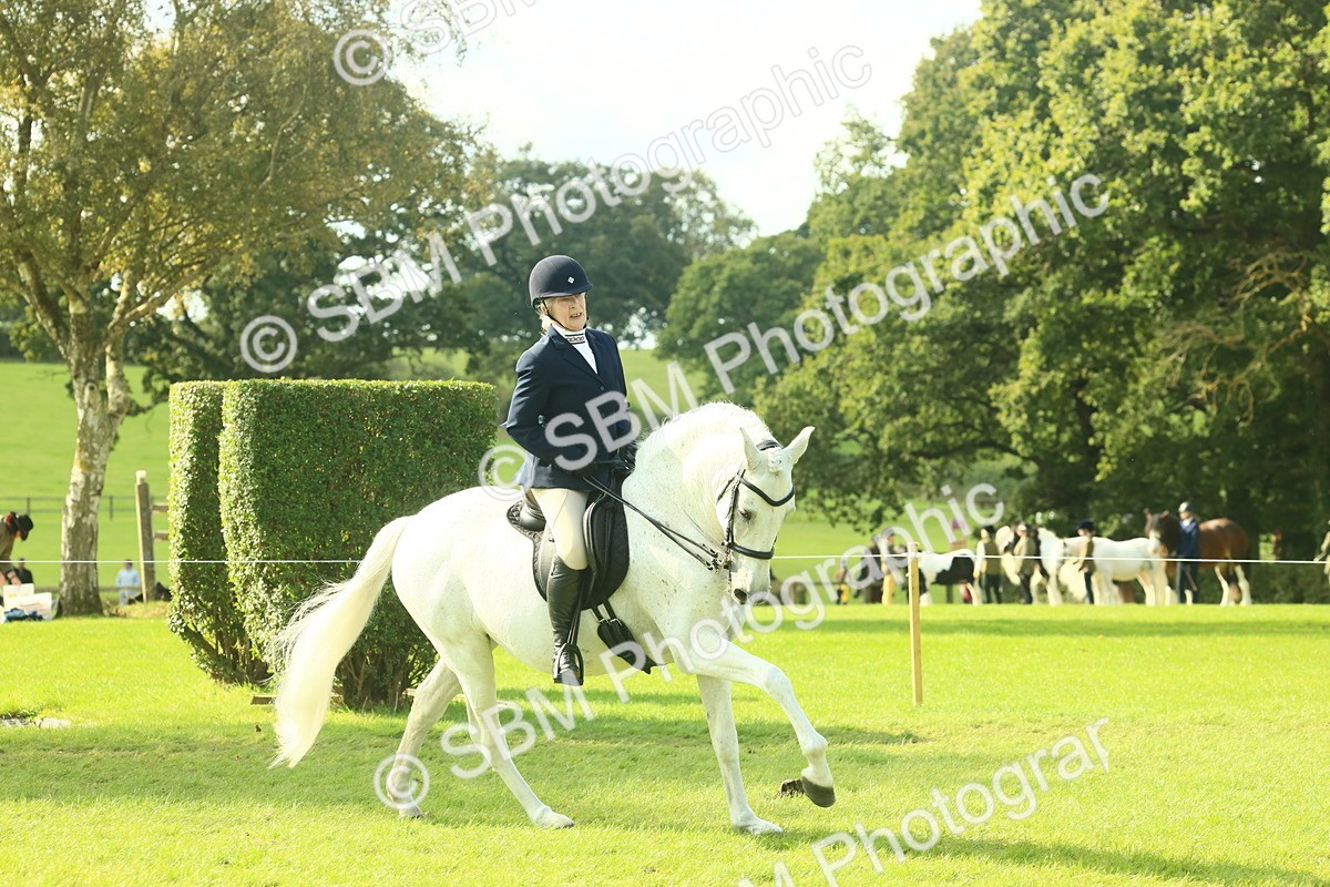 SBM_62404 - S62 - Foreign Breeds Ridden