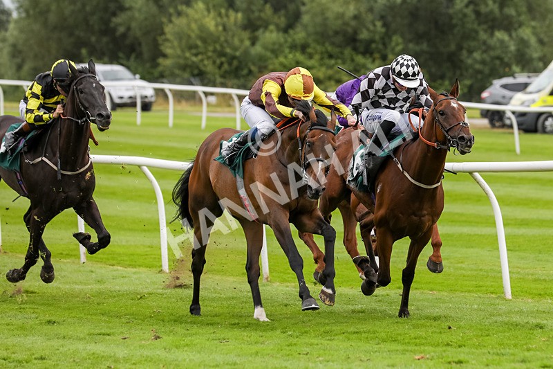 240724-Race 5-Furzig-3610 - Race 5