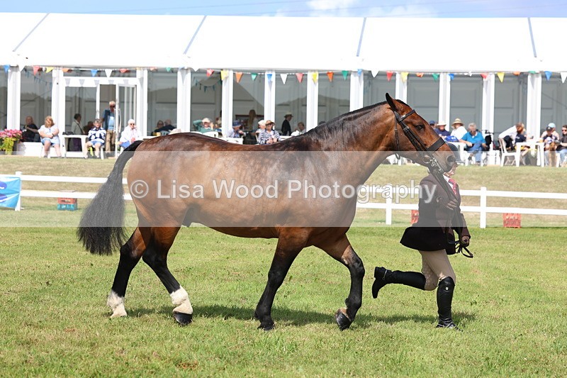 3E7A0037 - Class 5: Rising Star Lightweight/Heavyweight Cobs